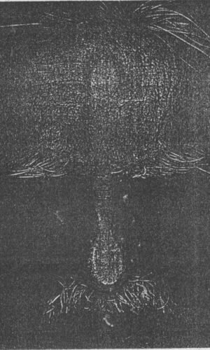 Close-up <span style="font-size: smaller;">in 4 Dimensions</span>